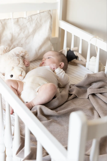 Couverture Laine de Mérinos Noisette La petite mésange